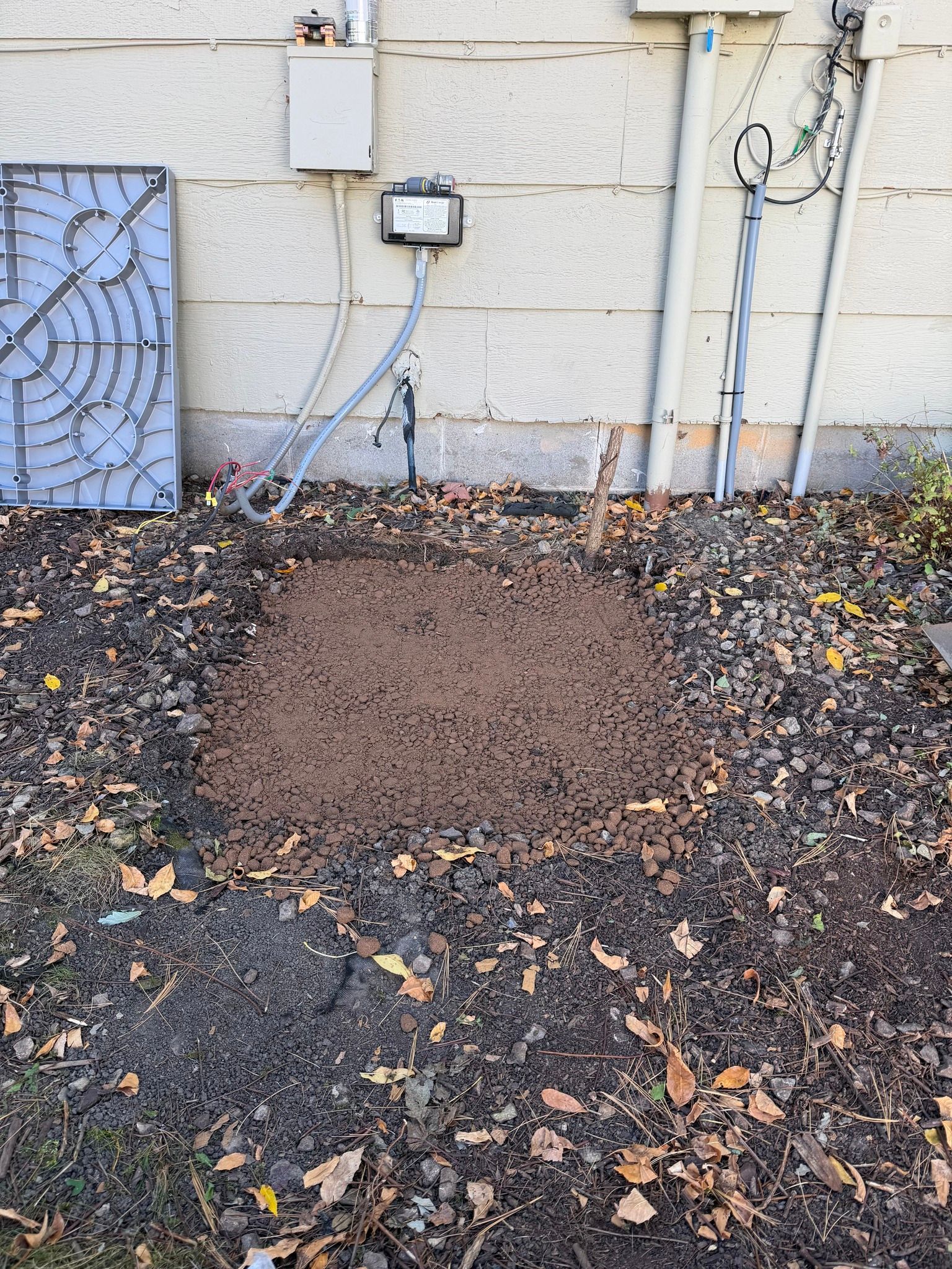 Brown ant colony mound next to a building's foundation, surrounded by fallen leaves and electrical boxes.