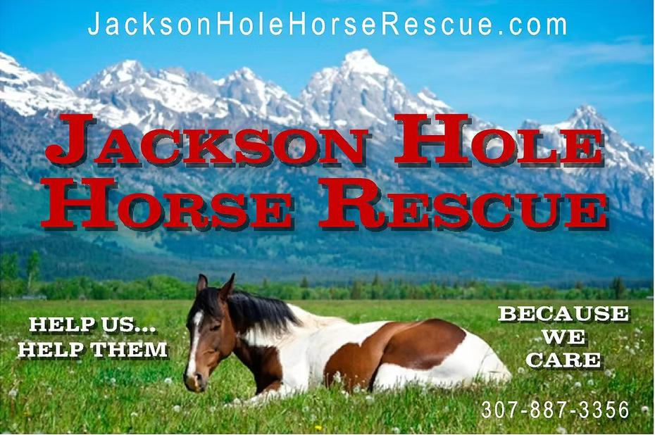 Jackson Hole Horse Rescue banner with horse, mountains, and text “Help Us Help Them” and “Because We Care”