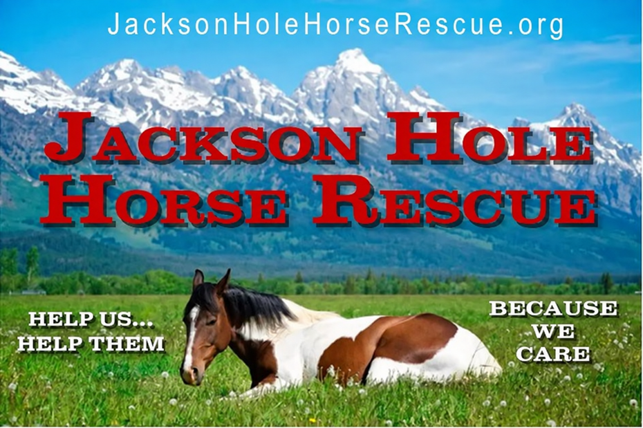 Jackson Hole Horse Rescue banner with horse, mountains, and text “Help Us Help Them” and “Because We Care”