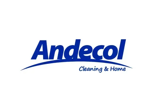 Andecol logo in blue with “Cleaning & Home” tagline beneath