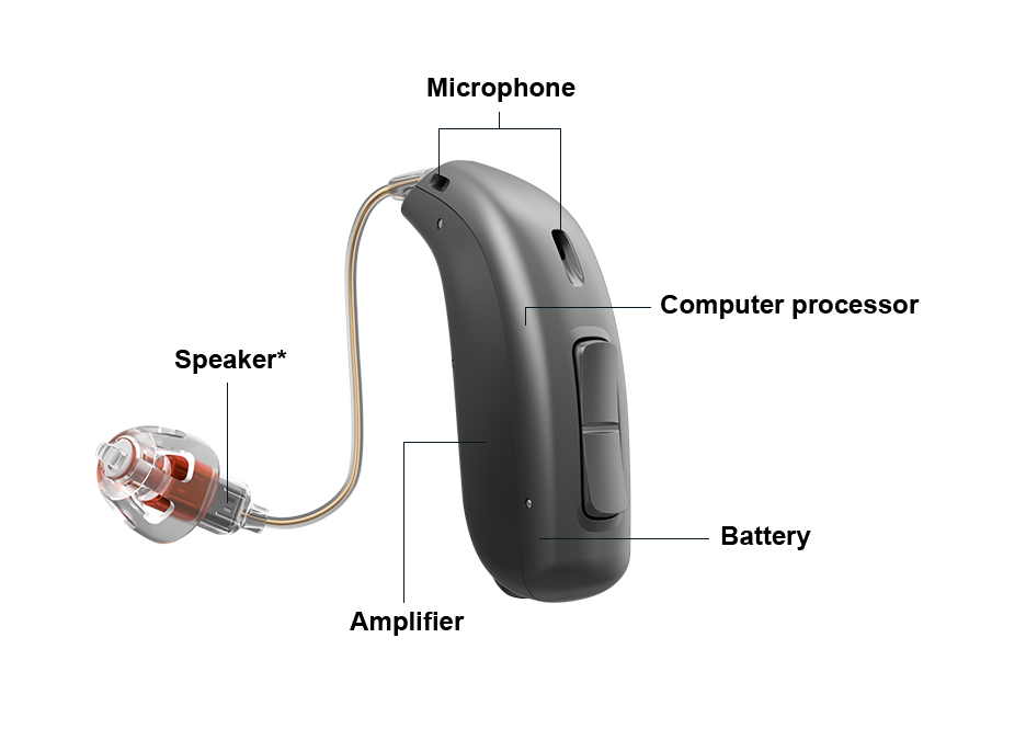 Labelled receiver-in-canal hearing aid showing microphones, computer processor, amplifier, receiver and battery