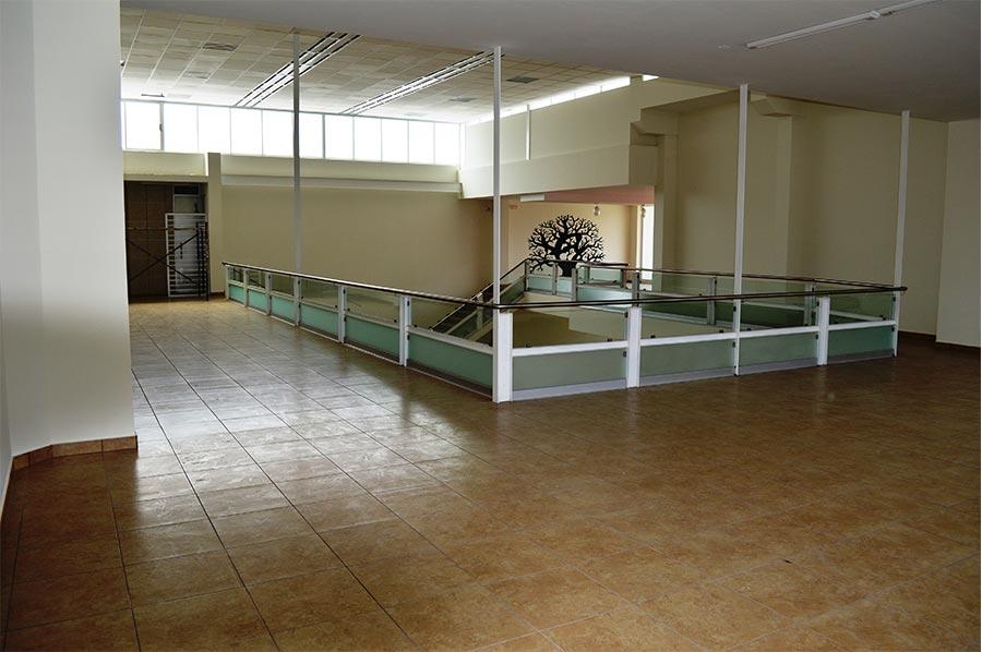 XV a&ntilde;os