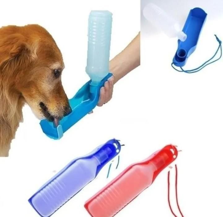 Perro bebiendo agua de una botella azul portátil, sostenida por una persona. También se muestran otras botellas.