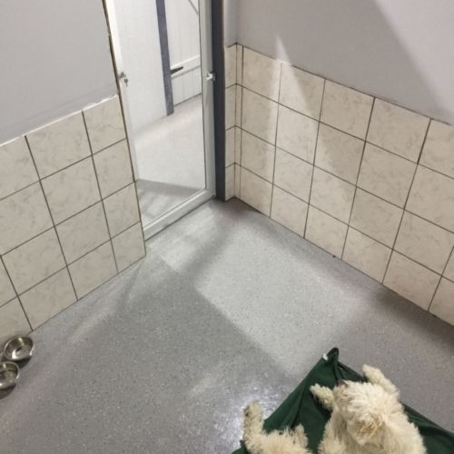 a small white dog is laying on a green blanket in a room .