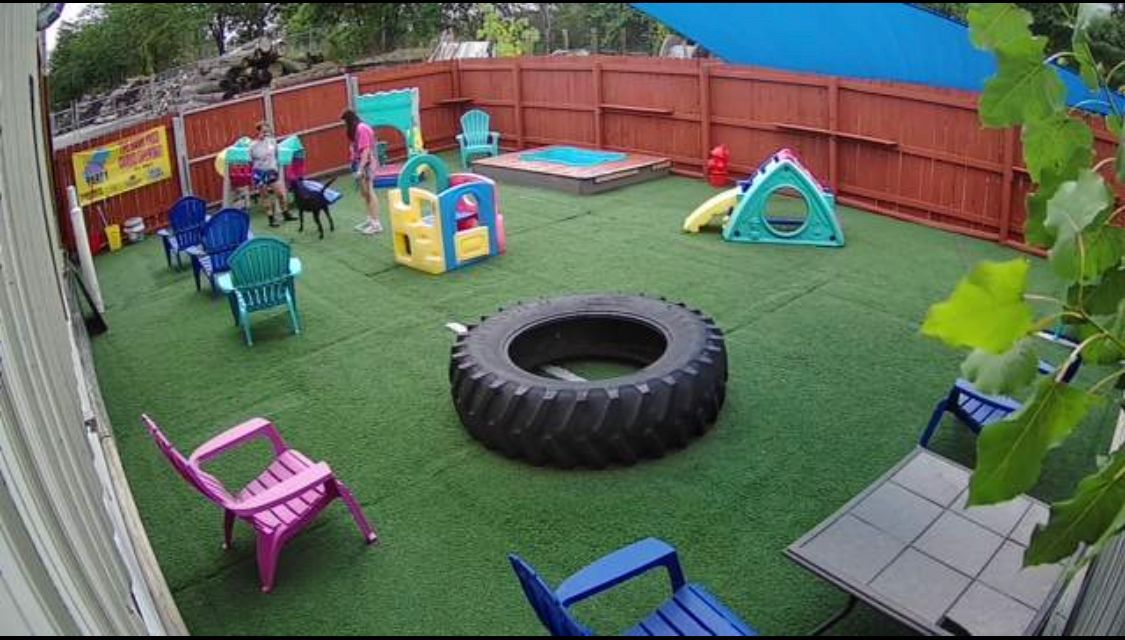 a playground with a tire in the middle of it