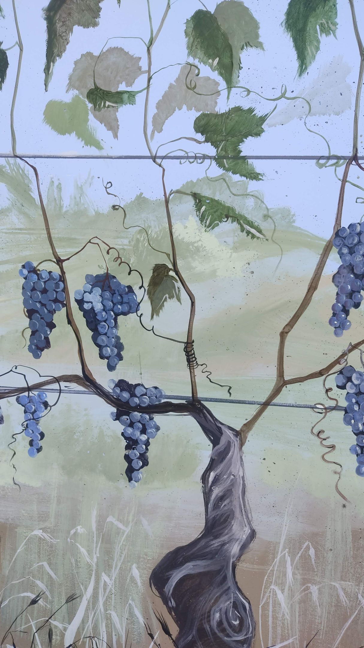 DECORAZIONE ARTISTICA ESTERNI MURALES VIGNETO