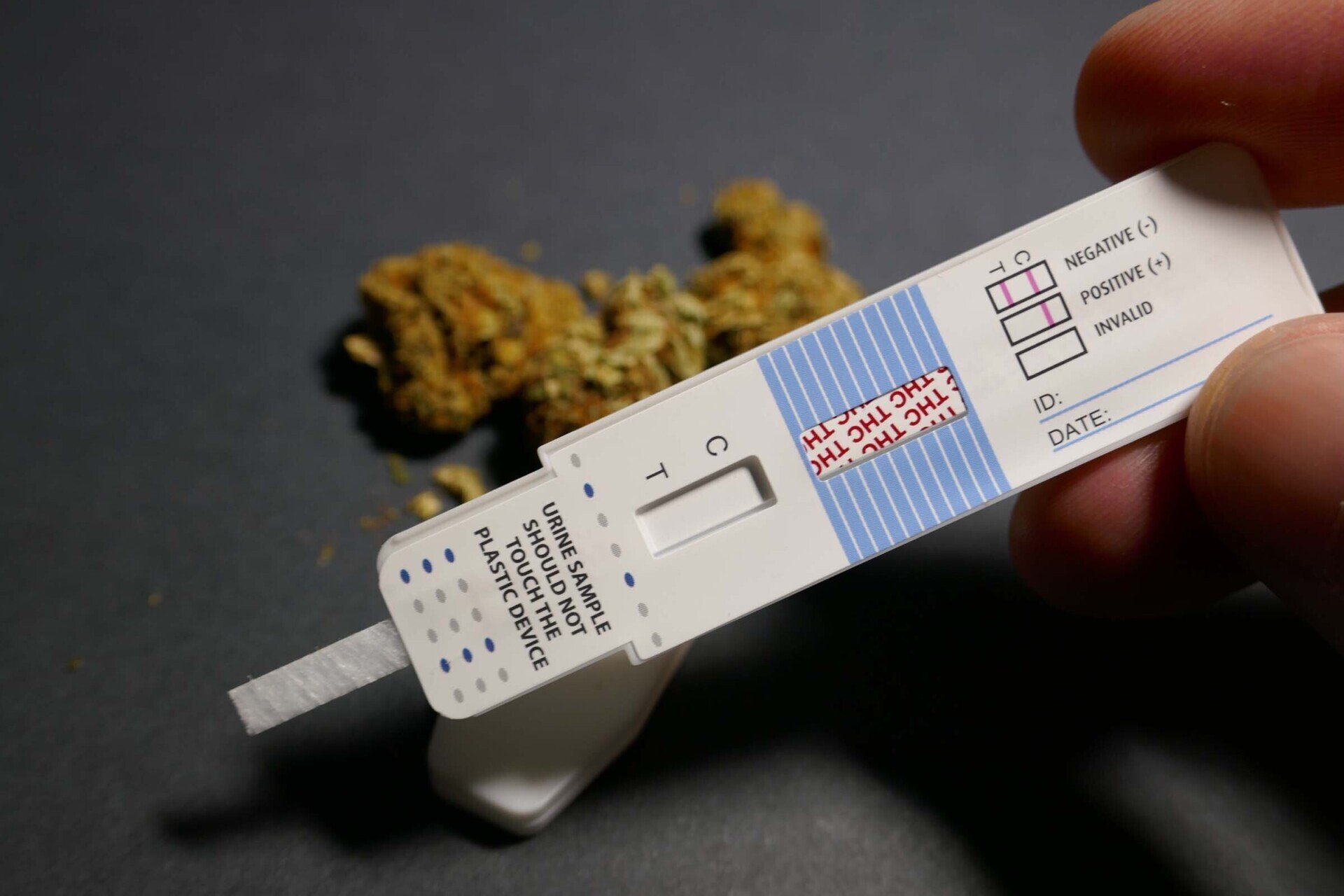 Drug Testing San Antonio, TX Canopy Employment