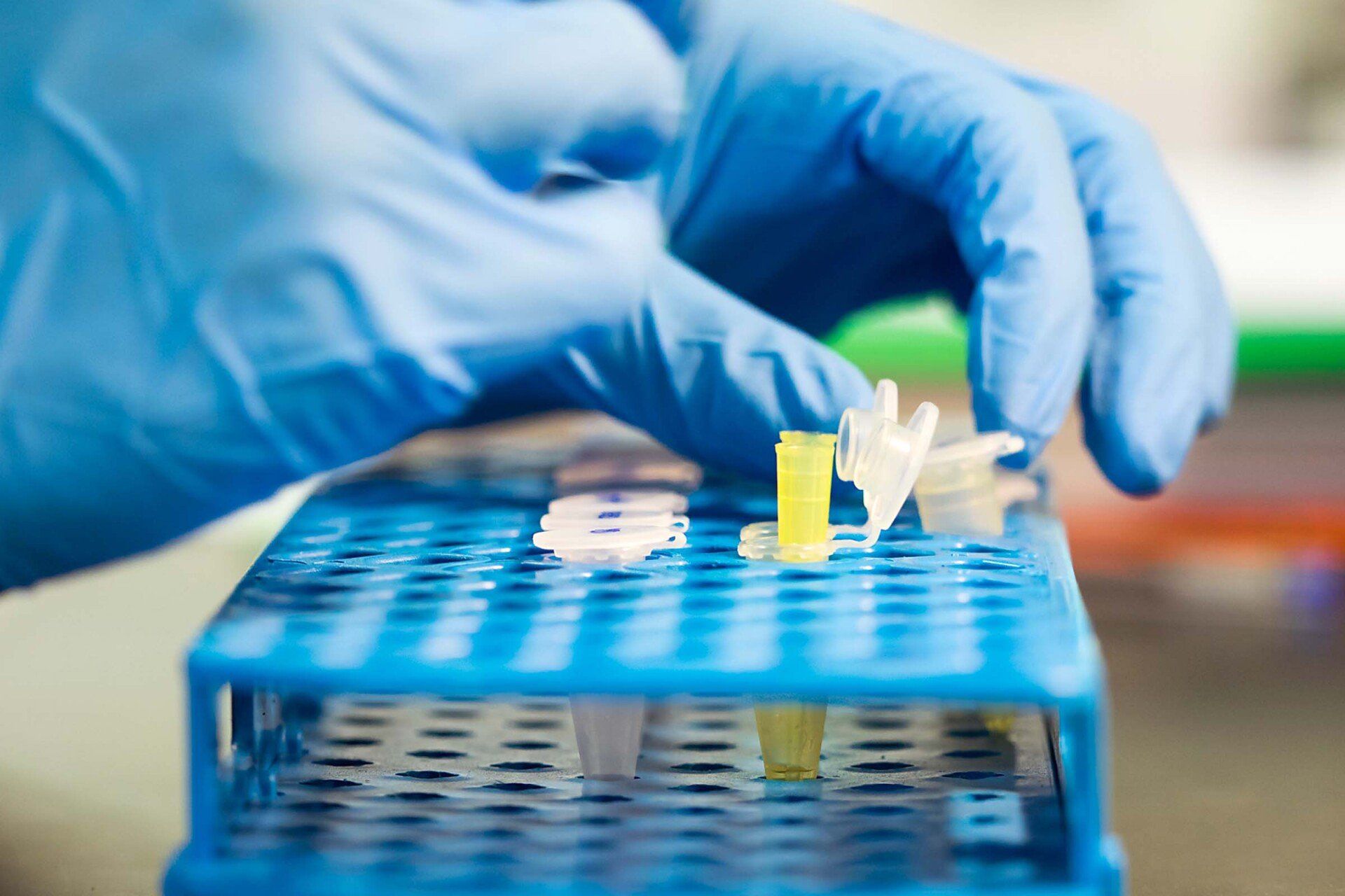 Hands Of A Scientific Investigator In A Laboratory - San Antonio, TX - Canopy Employment Screening Hands Of A Scientific Investigator In A Laboratory - San Antonio, TX - Canopy Employment Screening