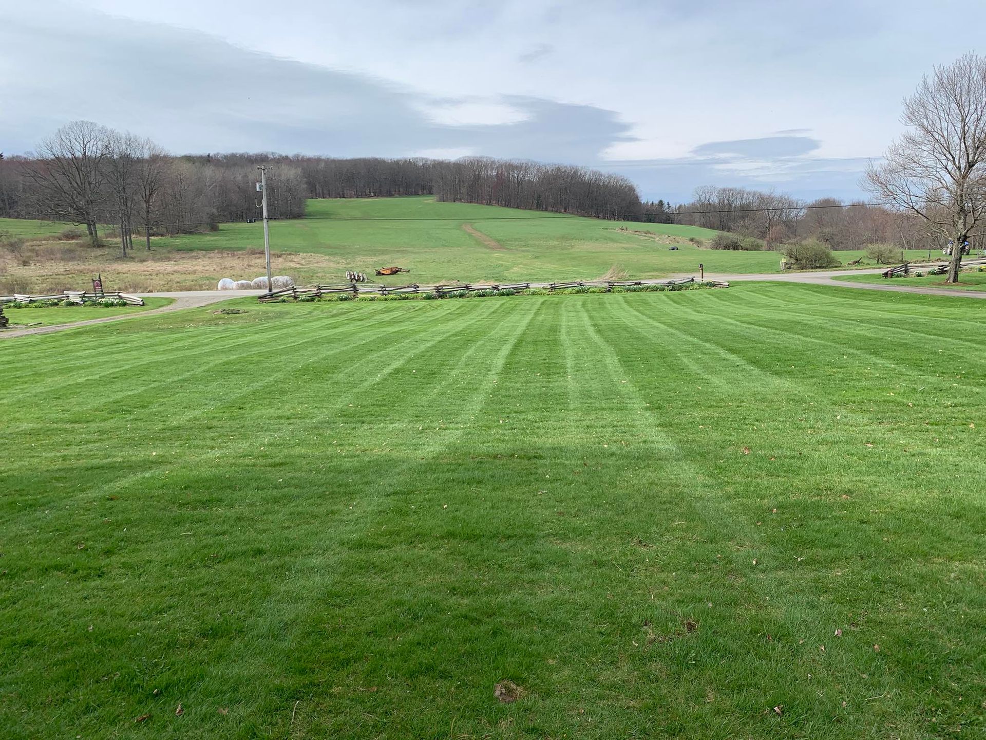 Green Lawn Field