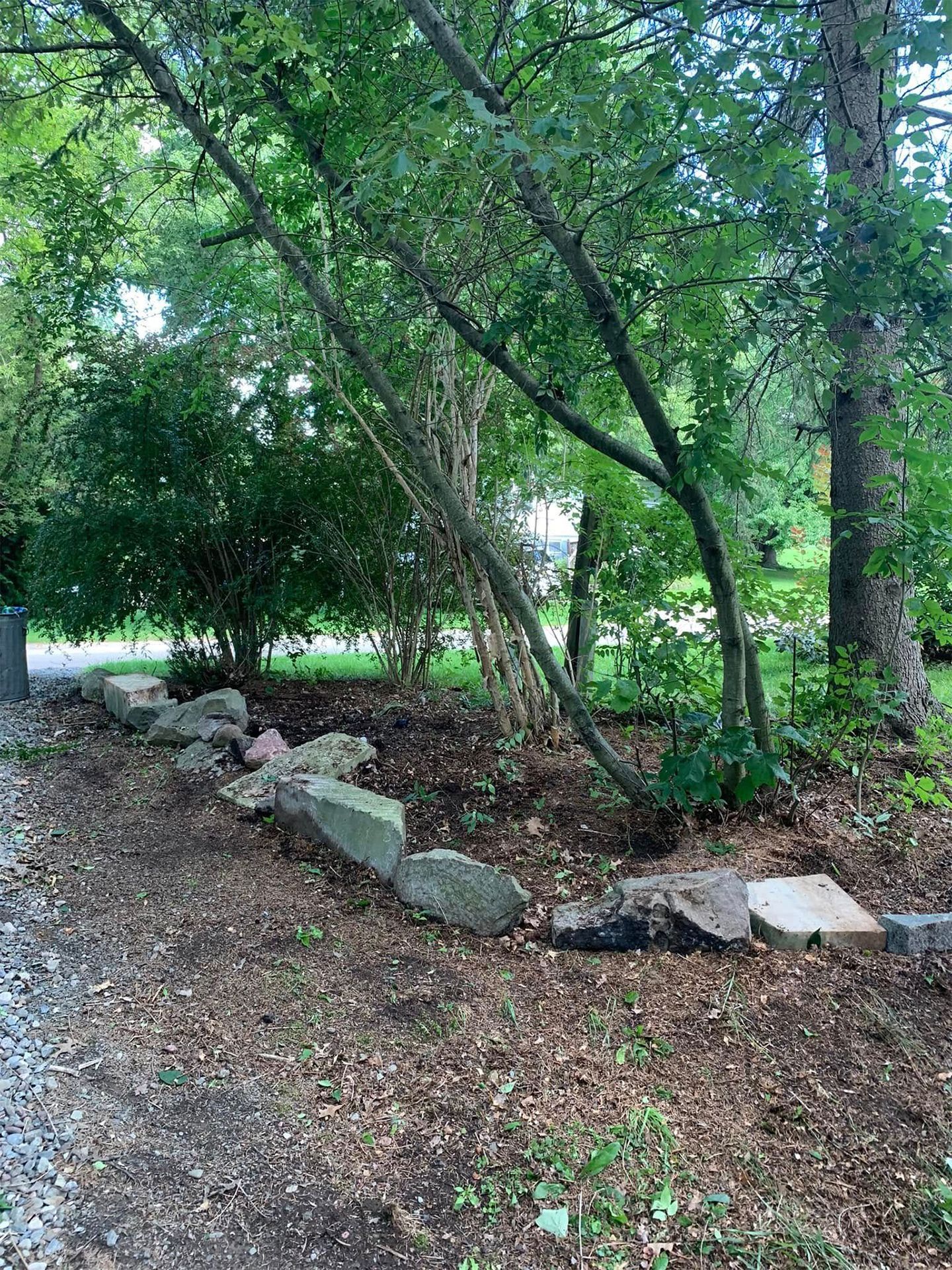 Newly Cleaned Yard