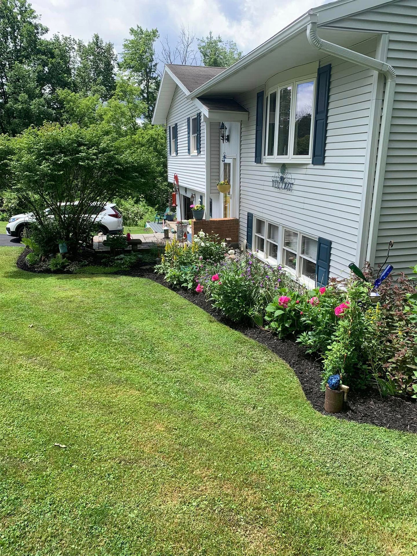 Newly Cut Lawn