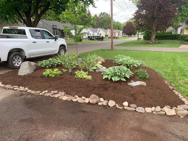 Plants With Mulch