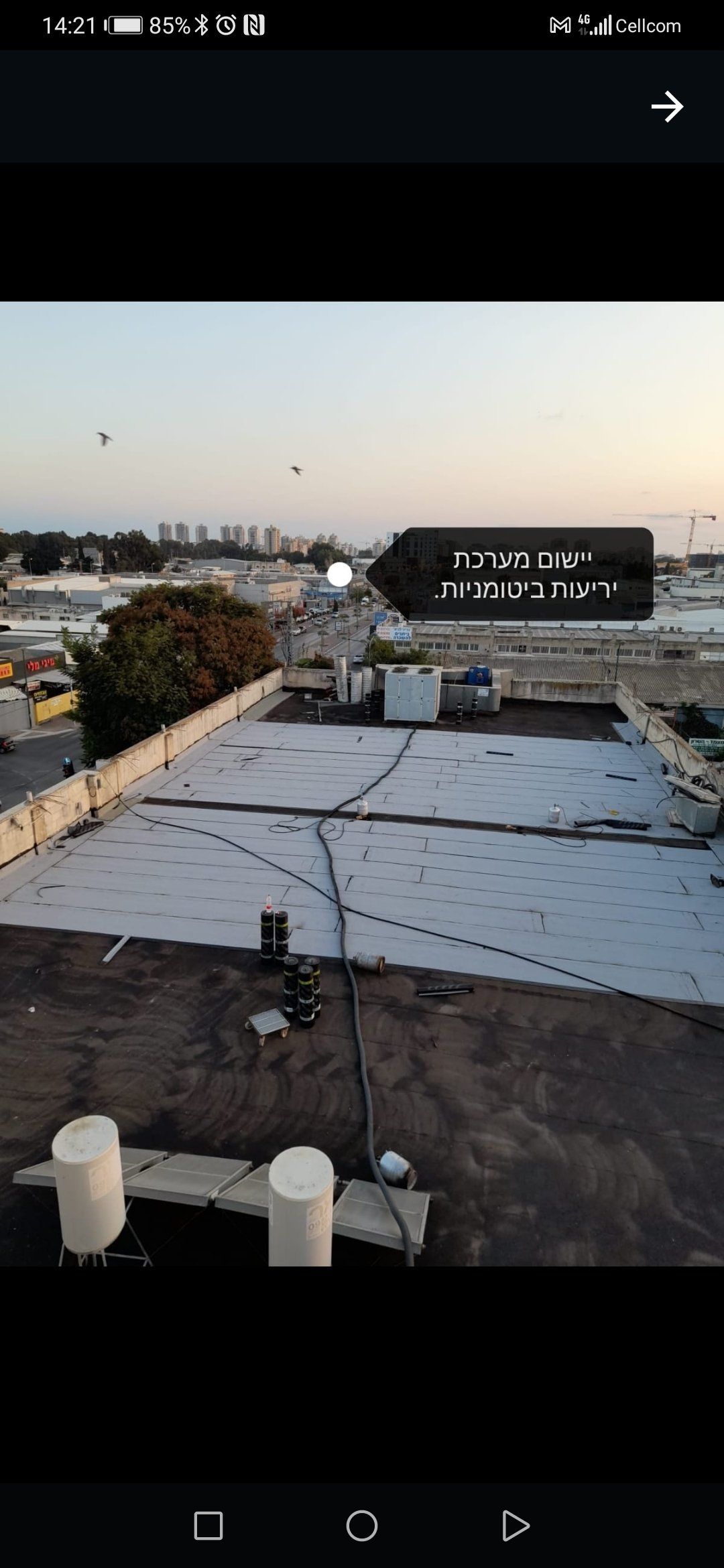 זיפות