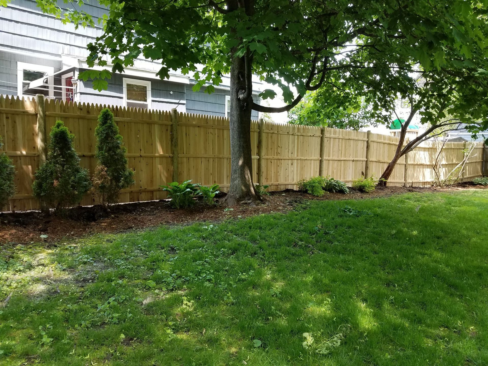 Backyard with wooden fence, green lawn, trees, and a basketball hoop near a house