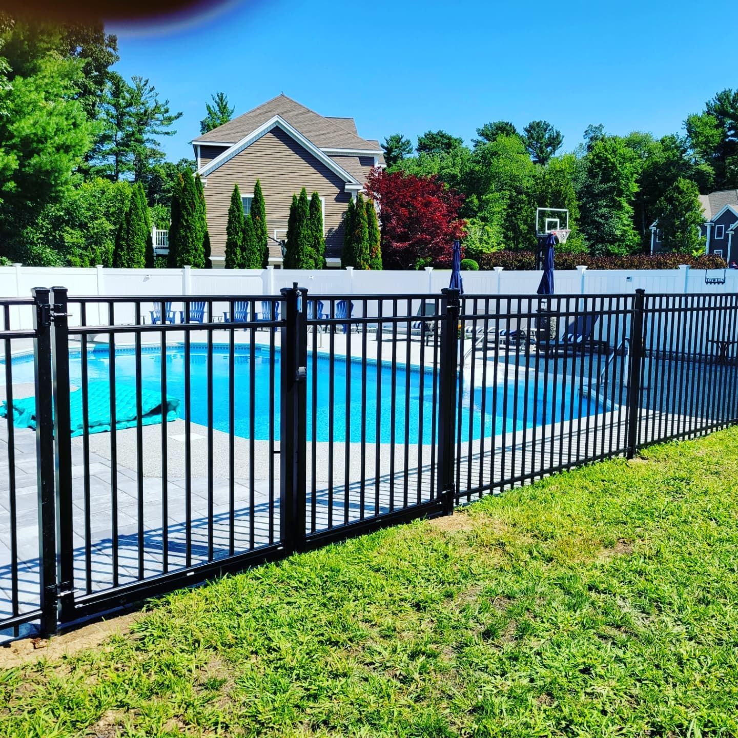 Black metal fence surrounds a blue swimming pool in a green yard, sunny day.