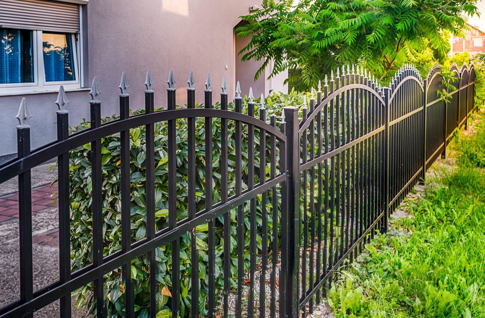 Black metal fence along a grassy yard beside a house and leafy trees
