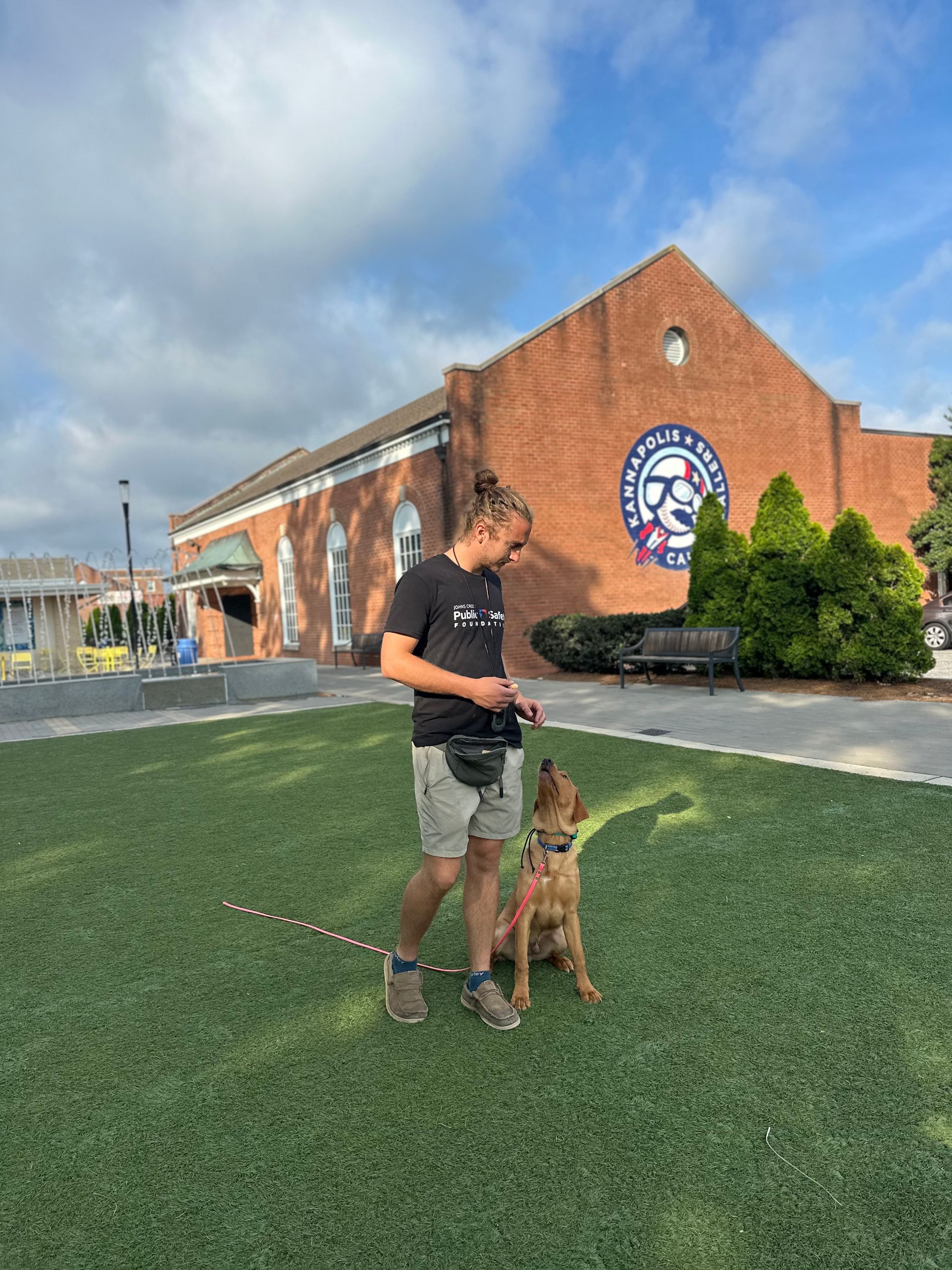 Man training a dog outdoors on green turf, building in background. Sunny day.