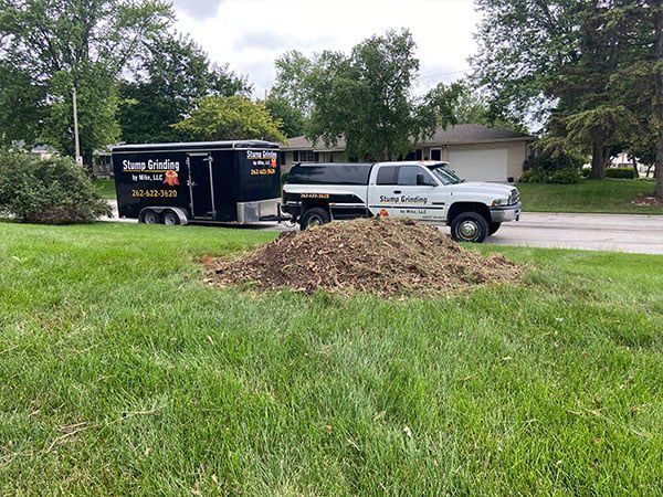 Mulch In Yard