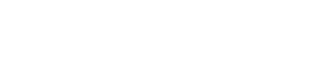 Integrity Surveillance Group Logo