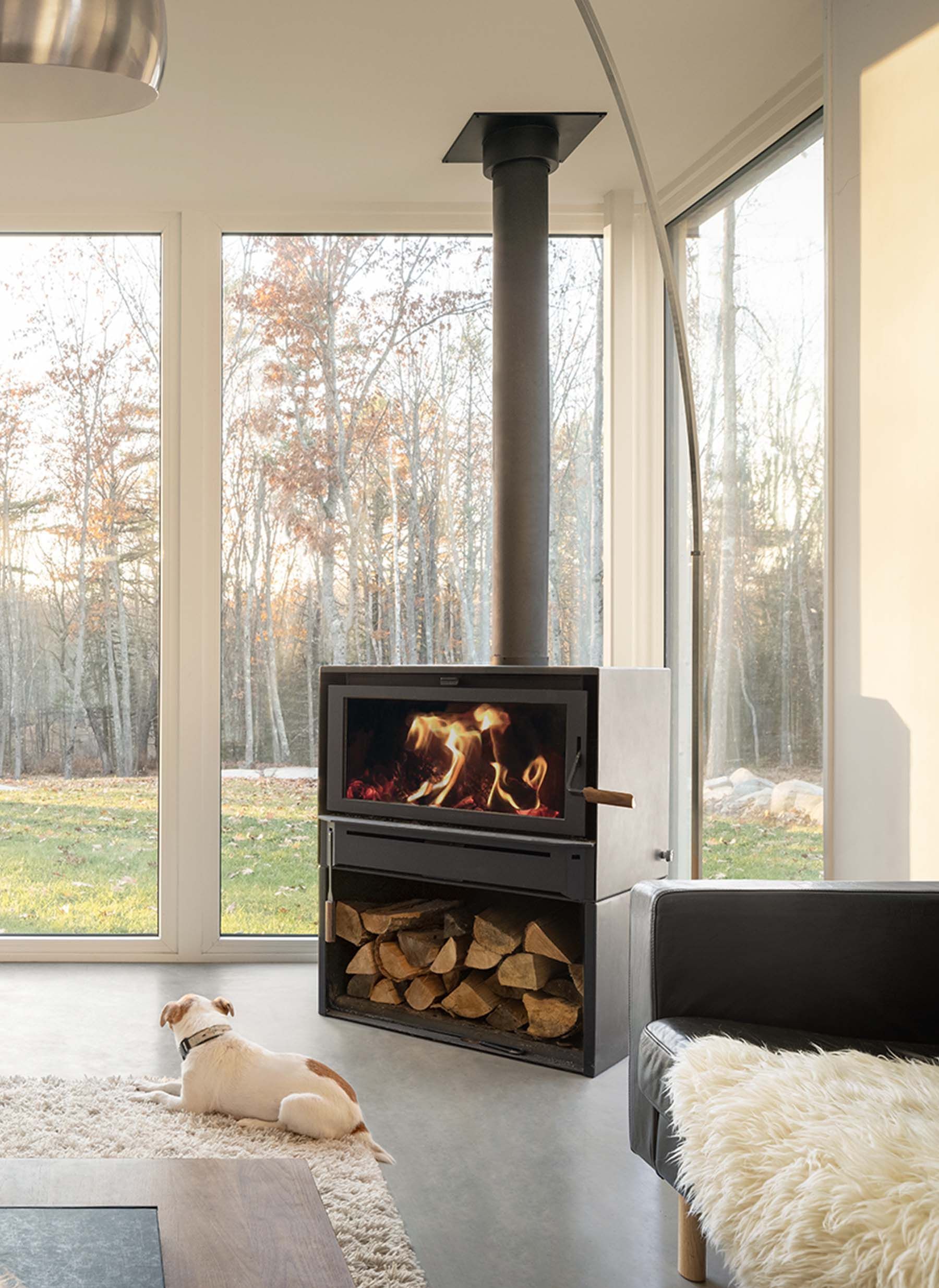 A modern fireplace with a wood storage beneath, set against a wall with large windows looking out on a forest; a dog rests on a rug.