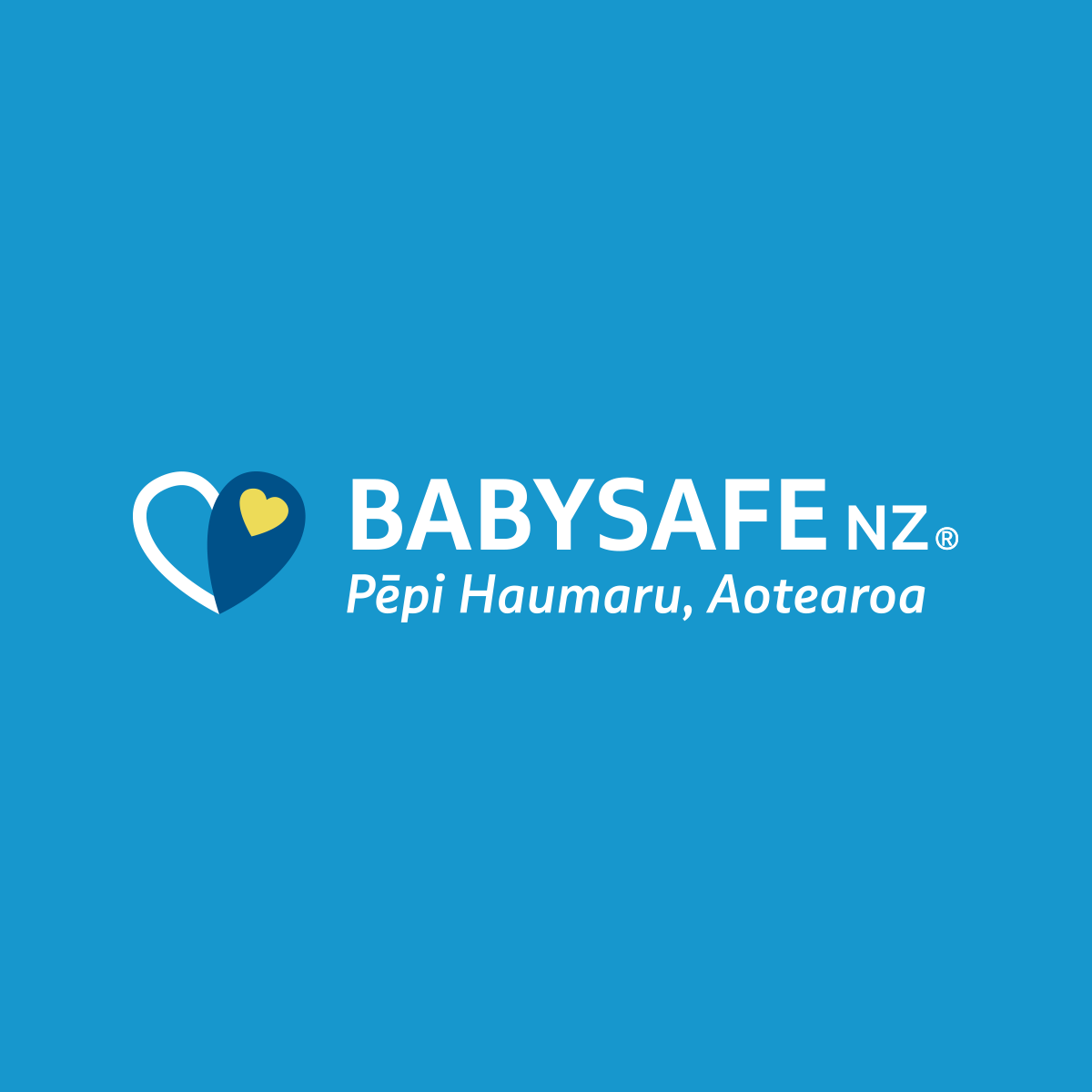 BabySafe NZ logo on white