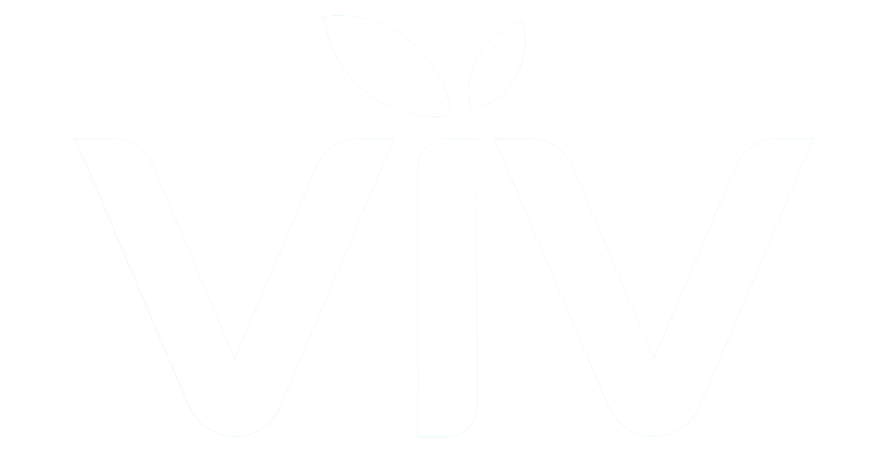 viv digital marketing