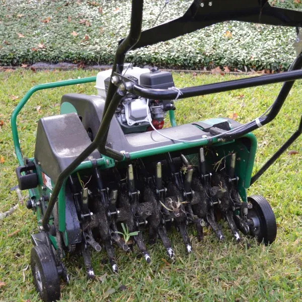 lawn aeration service in bowie md