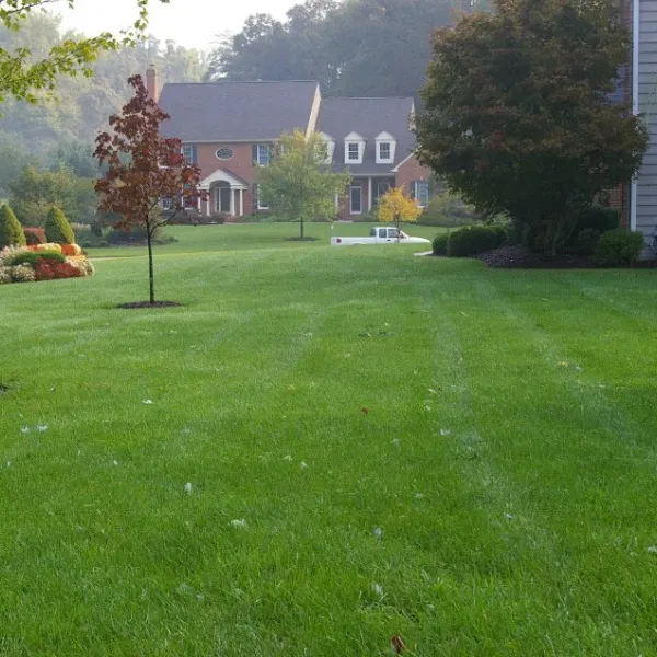 lawn care services benefits bowie md