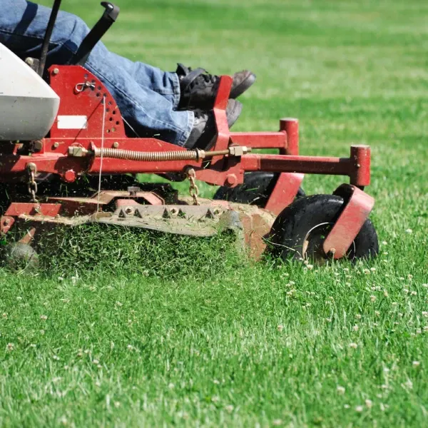 lawn mowing service advantages bowie md