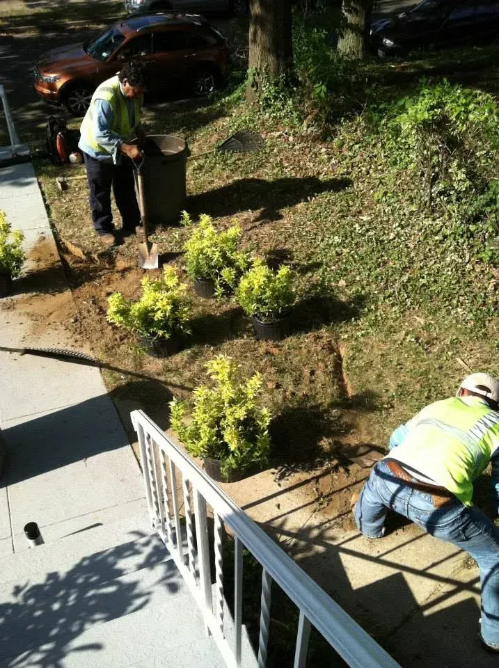 benefits of landscape installation bowie md