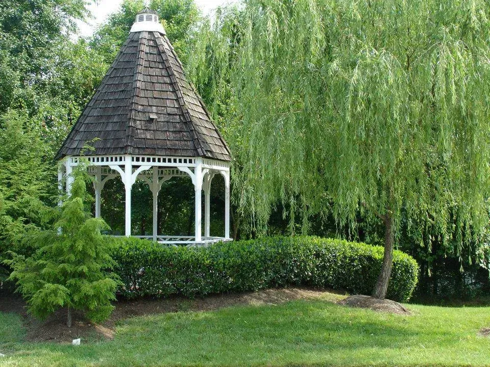 landscape cleanup solutions in bowie md