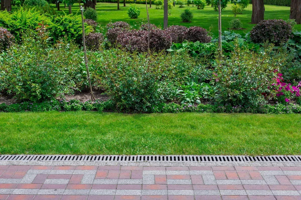 landscape drainage company in bowie md