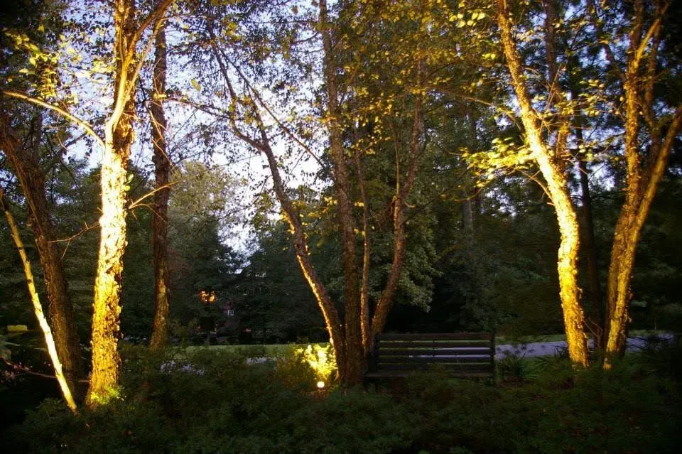 landscape lighting installers in bowie md