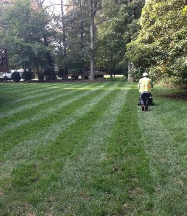 lawn maintenance services in bowie md