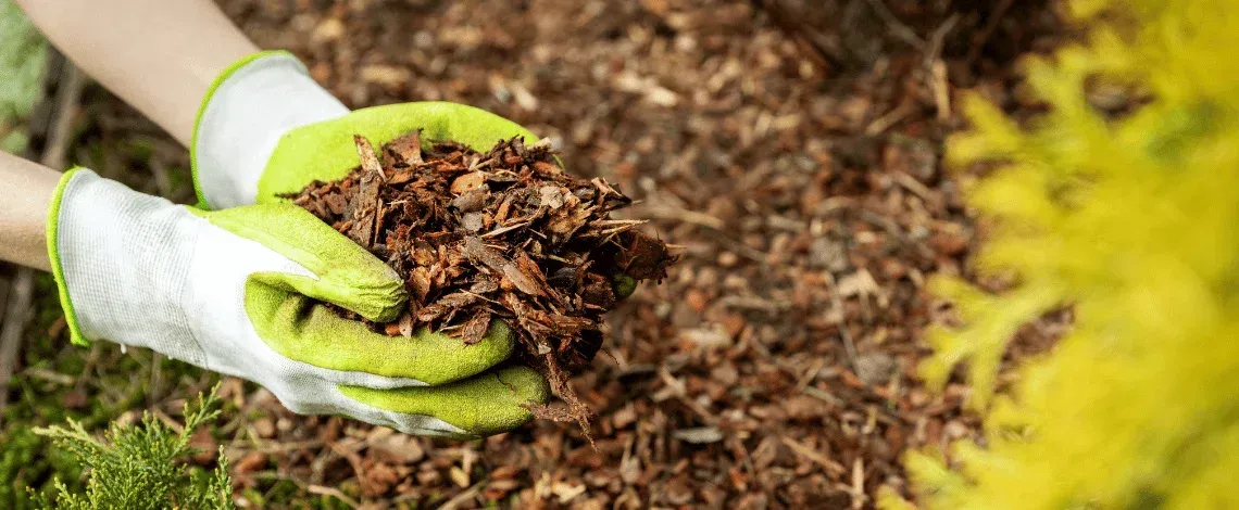 mulching landscape bed maintenance in bowie md