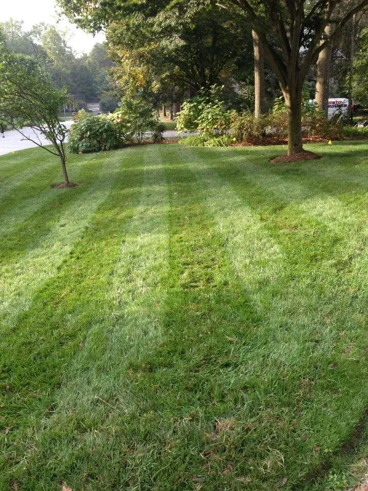 residential lawn care services bowie md