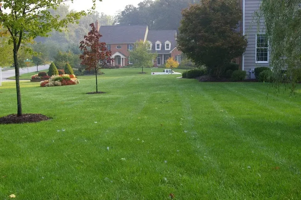 signs you need lawn care services bowie md