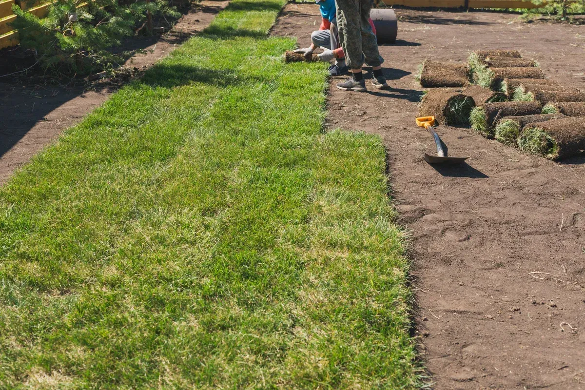 sod installation company in bowie md