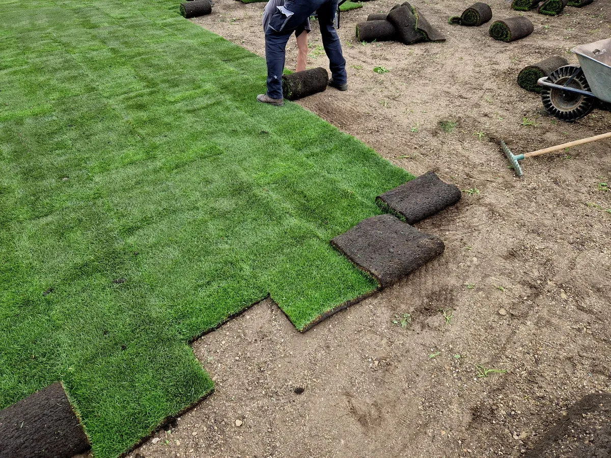sod installation experts in bowie md