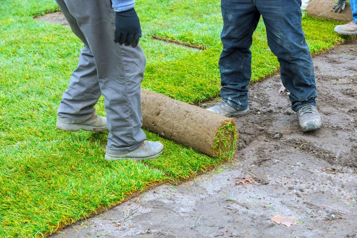 sod installation solutions in bowie md