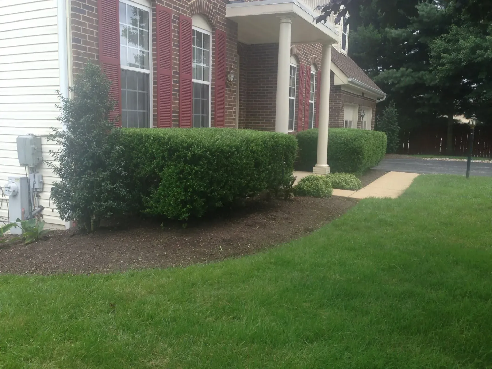 tree and shrub care in bowie md