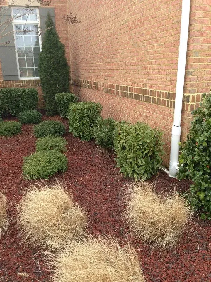 tree and shrub fertilization company in bowie md