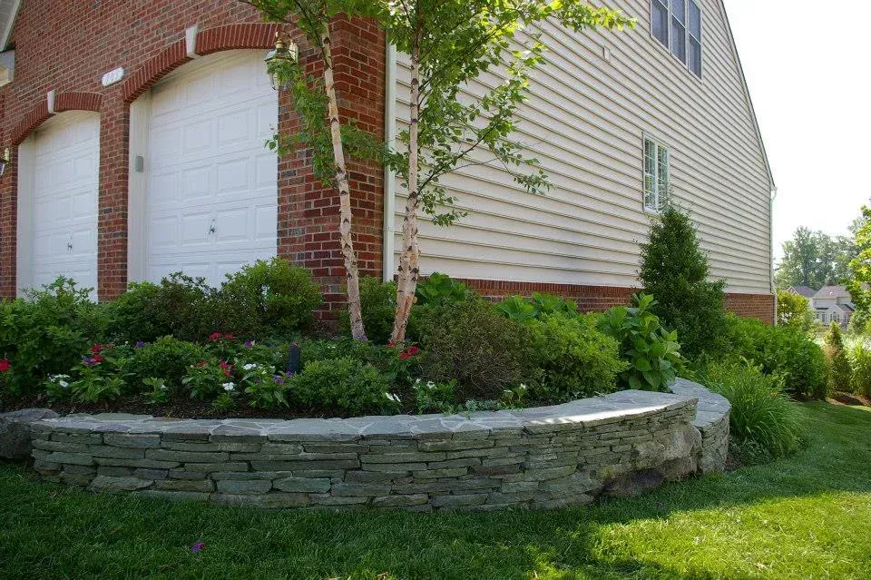 tree installation solutions in bowie md