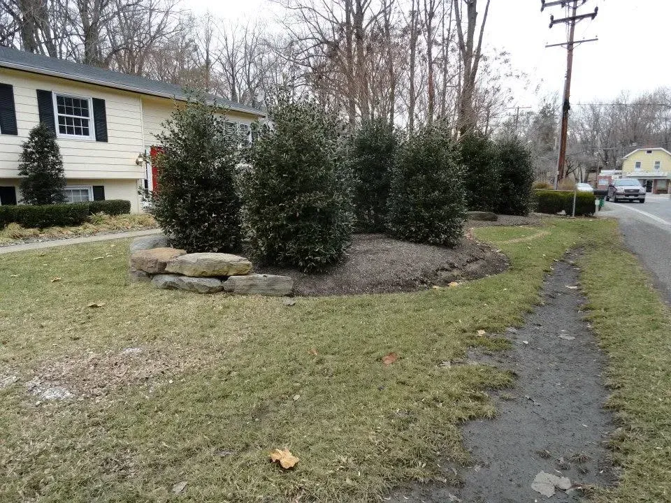 tree planting company in bowie md