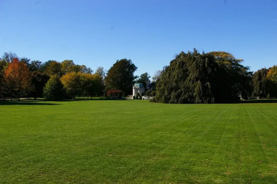 trusted lawn mowing company bowie md