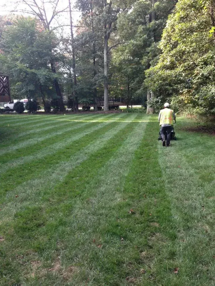 weekly lawn mowing process bowie md