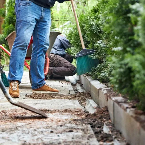 professional landscape cleanup service bowie md