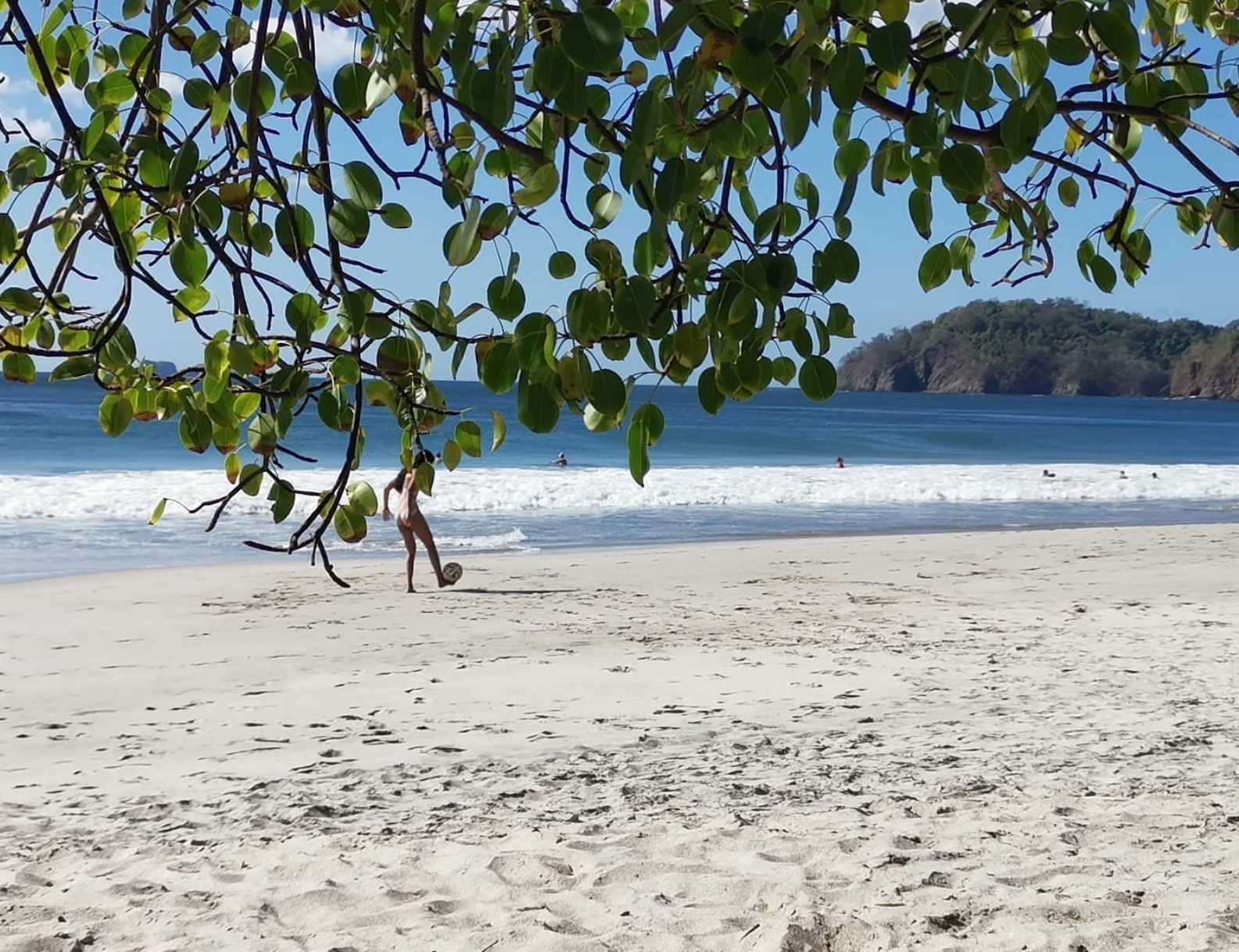 Tropical beach with trees and Pacific Ocean near Playa Flamingo Costa Rica in Guanacaste