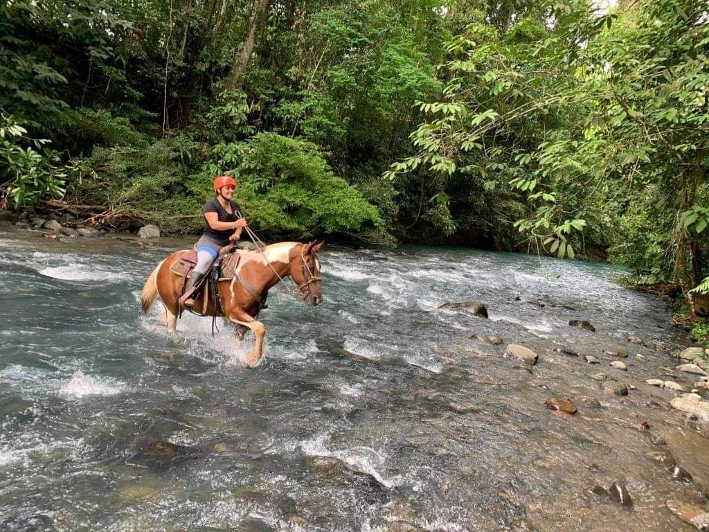 Horseback riding excursion in Costa Rica crossing a tropical river surrounded by rainforest near the Tenorio region
