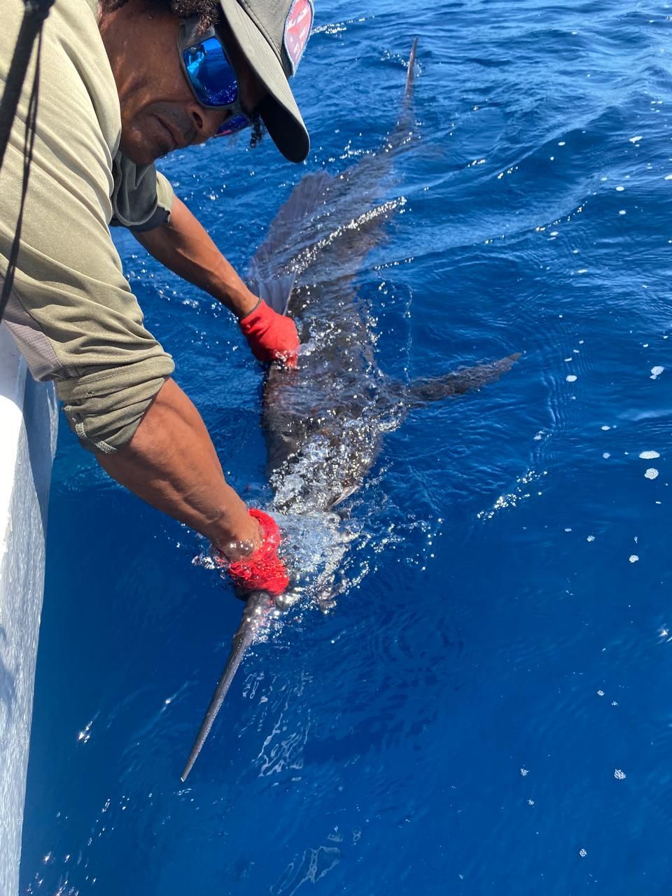 Sport fish beside the boat during a private fishing charter in Guanacaste, Costa Rica on the Pacific Ocean.